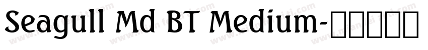Seagull Md BT Medium字体转换
